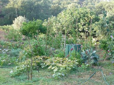 Ferienhaus in Rel�quias (Alentejo Litoral) oder Ferienwohnung oder Ferienhaus