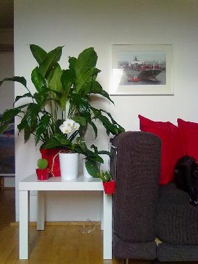 Ferienwohnung in genoa (Genova) oder Ferienwohnung oder Ferienhaus