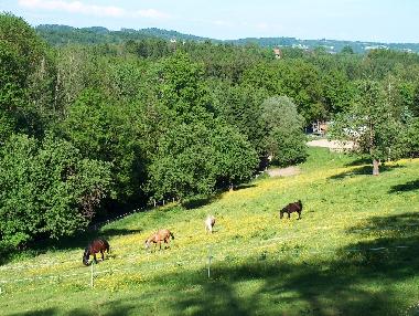 REITEN HOSCHKARA (3 iMinuten Fu�weg)
