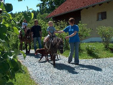 Kinderfest mit gef�hrten reitausfl�gen im Park