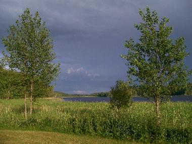 Badesse mit grosser Liegewiese und Badesteg. Das Wasser ist flach abfallend und somit auch f�r Kinde