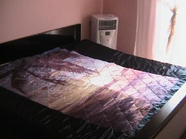 Ferienwohnung in Paralia dionissiou (Chalkidiki) oder Ferienwohnung oder Ferienhaus