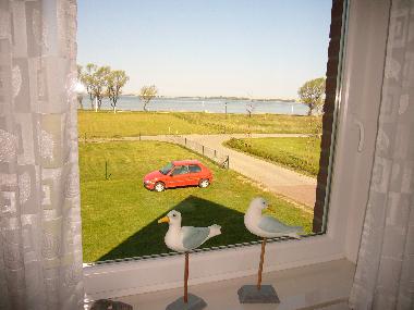 Fewo mit Ostseeblick