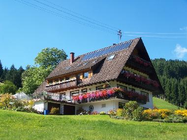 Ferienwohnung in Bad-Rippoldsau (Schwarzwald) oder Ferienwohnung oder Ferienhaus