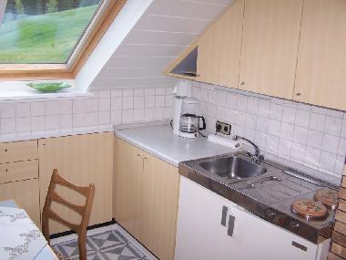 Ferienwohnung in Bad-Rippoldsau (Schwarzwald) oder Ferienwohnung oder Ferienhaus