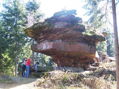 Ferienwohnung in Bad-Rippoldsau (Schwarzwald) oder Ferienwohnung oder Ferienhaus
