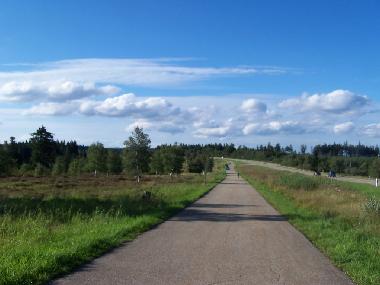 Ferienwohnung in Bad-Rippoldsau (Schwarzwald) oder Ferienwohnung oder Ferienhaus