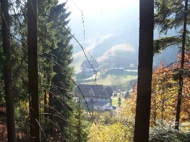 Ferienwohnung in Bad-Rippoldsau (Schwarzwald) oder Ferienwohnung oder Ferienhaus
