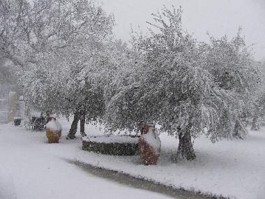 Ferienwohnung in FANO - PESARO URBINO (Pesaro e Urbino) oder Ferienwohnung oder Ferienhaus