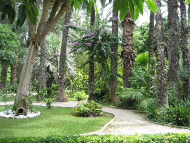 Ferienwohnung in Torrevieja (Alicante / Alacant) oder Ferienwohnung oder Ferienhaus