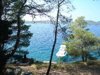 Blick von Terrasse aus