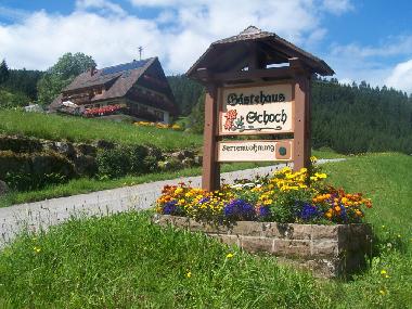 Ferienwohnung in Bad-Rippoldsau (Schwarzwald) oder Ferienwohnung oder Ferienhaus