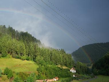 Ferienwohnung in Bad-Rippoldsau (Schwarzwald) oder Ferienwohnung oder Ferienhaus