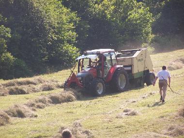 Ferienwohnung in Bad-Rippoldsau (Schwarzwald) oder Ferienwohnung oder Ferienhaus