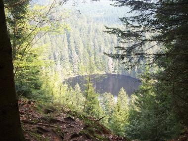 Ferienwohnung in Bad-Rippoldsau (Schwarzwald) oder Ferienwohnung oder Ferienhaus