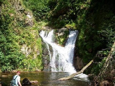 Ferienwohnung in Bad-Rippoldsau (Schwarzwald) oder Ferienwohnung oder Ferienhaus