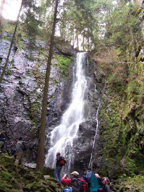 Ferienwohnung in Bad-Rippoldsau (Schwarzwald) oder Ferienwohnung oder Ferienhaus