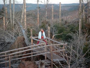 Ferienwohnung in Bad-Rippoldsau (Schwarzwald) oder Ferienwohnung oder Ferienhaus
