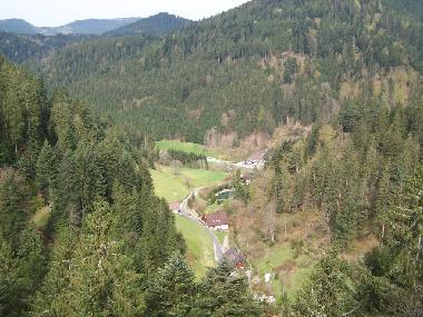 Ferienwohnung in Bad-Rippoldsau (Schwarzwald) oder Ferienwohnung oder Ferienhaus