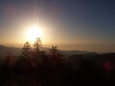 Ferienwohnung in Bad-Rippoldsau (Schwarzwald) oder Ferienwohnung oder Ferienhaus