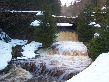 Ferienwohnung in Bad-Rippoldsau (Schwarzwald) oder Ferienwohnung oder Ferienhaus