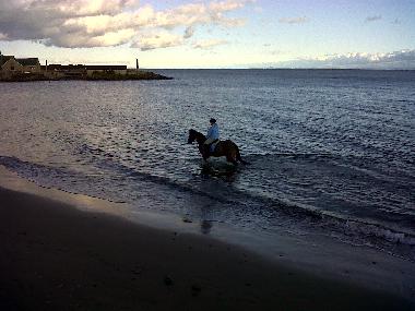 Ferienhaus in Kinghorn (Eastern Scotland) oder Ferienwohnung oder Ferienhaus