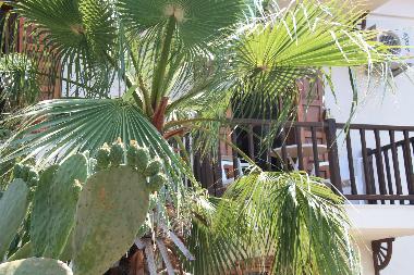 Ferienwohnung in Kas (Antalya) oder Ferienwohnung oder Ferienhaus