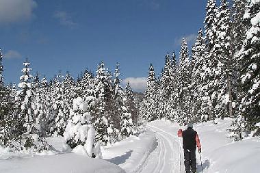 Ferienhaus in Saint-Scholastique (Quebec) oder Ferienwohnung oder Ferienhaus
