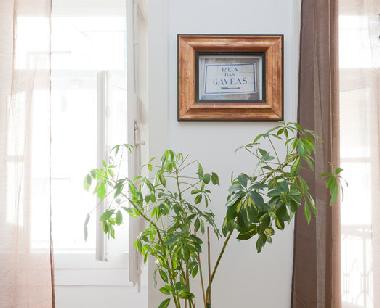 Ferienwohnung in Lisbon (Grande Lisboa) oder Ferienwohnung oder Ferienhaus