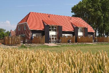 Ferienwohnung in Groede (Zeeland) oder Ferienwohnung oder Ferienhaus