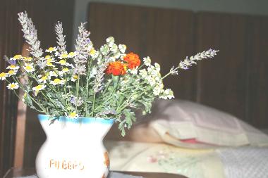 Ferienhaus in Zminj (Istarska) oder Ferienwohnung oder Ferienhaus