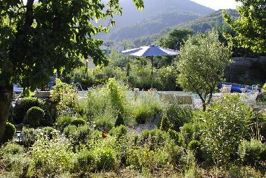 Kr�utergarten mit Lavendel, Thymian, Rosmarin, Lorbeer...