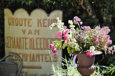 Impression aus dem Garten