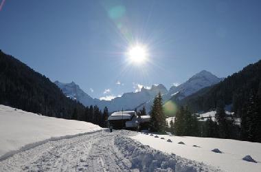 Ferienwohnung in Gaschurn (Bludenz-Bregenzer Wald) oder Ferienwohnung oder Ferienhaus