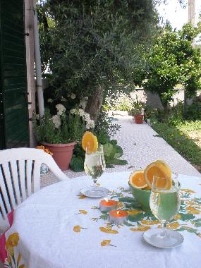 Ferienwohnung in Viseu (Beira Interior Norte) oder Ferienwohnung oder Ferienhaus