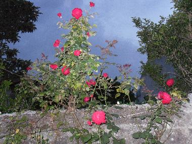 Ferienhaus in Porto (Norte) oder Ferienwohnung oder Ferienhaus