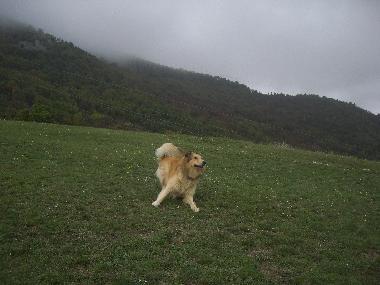 Ferienhaus in Fabriano (Ancona) oder Ferienwohnung oder Ferienhaus