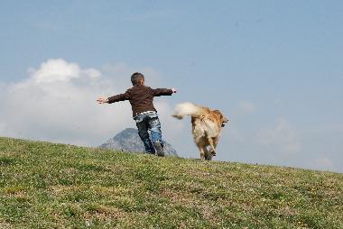 Ferienhaus in Fabriano (Ancona) oder Ferienwohnung oder Ferienhaus
