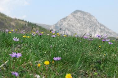 Ferienhaus in Fabriano (Ancona) oder Ferienwohnung oder Ferienhaus