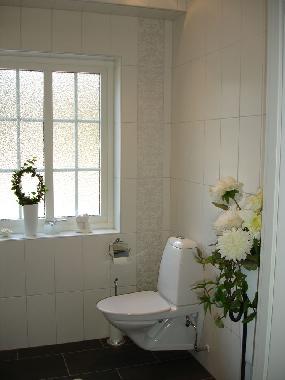 Villa in H�llviken (Sk�ne) oder Ferienwohnung oder Ferienhaus