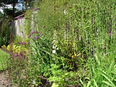 Villa in H�llviken (Sk�ne) oder Ferienwohnung oder Ferienhaus