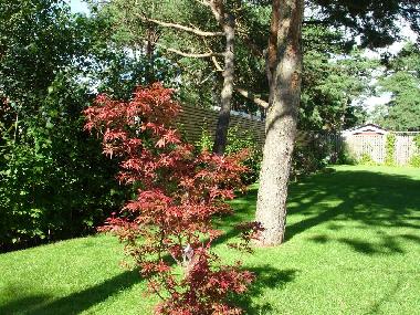 Villa in H�llviken (Sk�ne) oder Ferienwohnung oder Ferienhaus