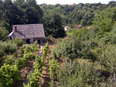 Ferienhaus in Smederevska Palanka (Zentral Serbien) oder Ferienwohnung oder Ferienhaus