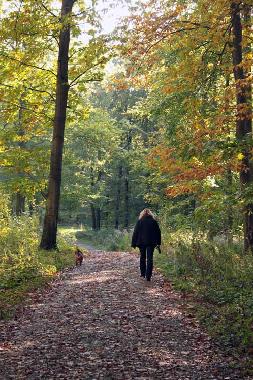 Ferienwohnung in Chemnitz (Erzgebirge) oder Ferienwohnung oder Ferienhaus