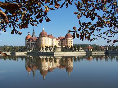 Ferienwohnung in Dresden (S�chsisches Burgen-/ Heideland) oder Ferienwohnung oder Ferienhaus