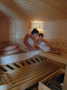 Ferienhaus in Bad Goisern (Traunviertel) oder Ferienwohnung oder Ferienhaus