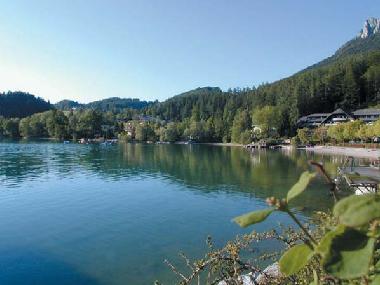 Ferienhaus in Bad Goisern (Traunviertel) oder Ferienwohnung oder Ferienhaus