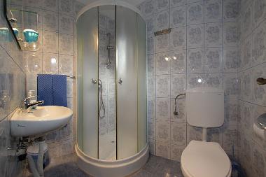 Pension in Gura Riului (Sibiu) oder Ferienwohnung oder Ferienhaus