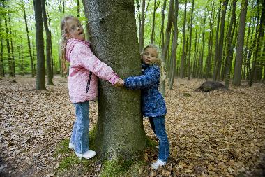Ferienhaus in Noordwijk (Zuid-Holland) oder Ferienwohnung oder Ferienhaus