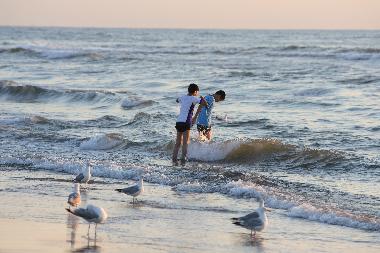 Ferienhaus in Noordwijk (Zuid-Holland) oder Ferienwohnung oder Ferienhaus